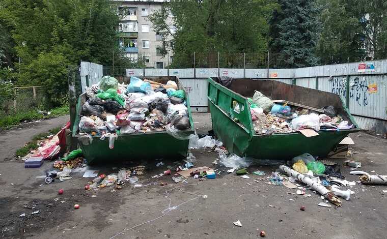 Город для крыс, не для людей: как Красноярск погружается в антисанитарию